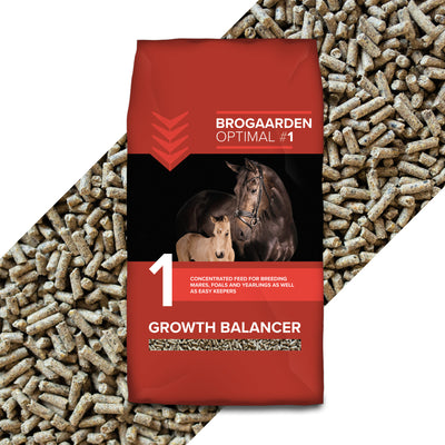 Growth Balancer ist ein konzentriertes Ergänzungsfuttermittel für Pferde