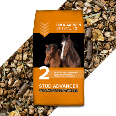 Stud Advancer ist ein wohlschmeckendes Müslifutter für Zuchtpferde mit moderatem bis hohem Kalorienbedarf.